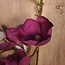 I701 - Magnolia - kunst - 59 cm