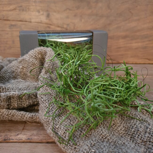 * Q201 - Doosje met 30 gram tilandsia - groen - tillandsia