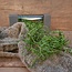 Q201 - Doosje met 30 gram tilandsia - groen - tillandsia