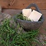 Q201 - Doosje met 30 gram tilandsia - groen - tillandsia