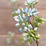 ## Dille weed spray - blue - 94 cm