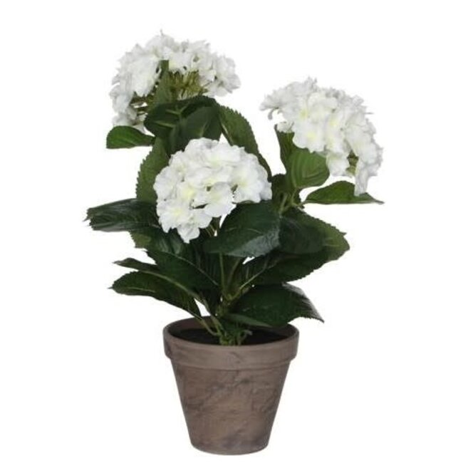 Hortensia (kunst) Wit in binnenPot Stan Grijs d13,5cm - h40xd35c - per stuk - excl brynx vaas