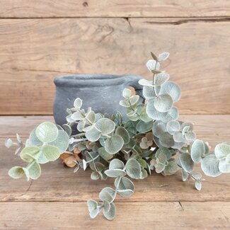 Brynxz Eucalyptus bosje 35 cm