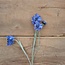 Cornflower Spray x4 61cm - kunst - korenbloem