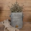 Brynxz PLANTER COULOGNE IND. VINTAGE M D.20 H.21