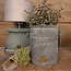 Brynxz PLANTER COULOGNE IND. VINTAGE M D.20 H.21