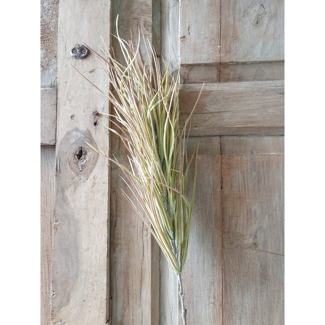 ## GRAS-ZWEIG 1/POLY, 79 CM, GRÜN-ROSA, 1/STCK