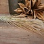 ## GRAS-ZWEIG 1/POLY, 79 CM, GRÜN-ROSA, 1/STCK