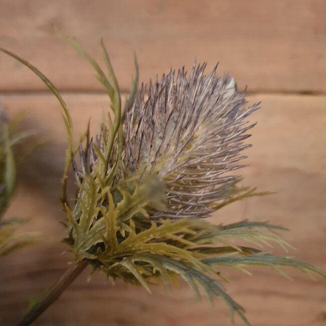 ## THISTLE, 68 CM, MAUVE