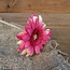 Single Mini Gerbera 47cm dia 7cm - fuchsia