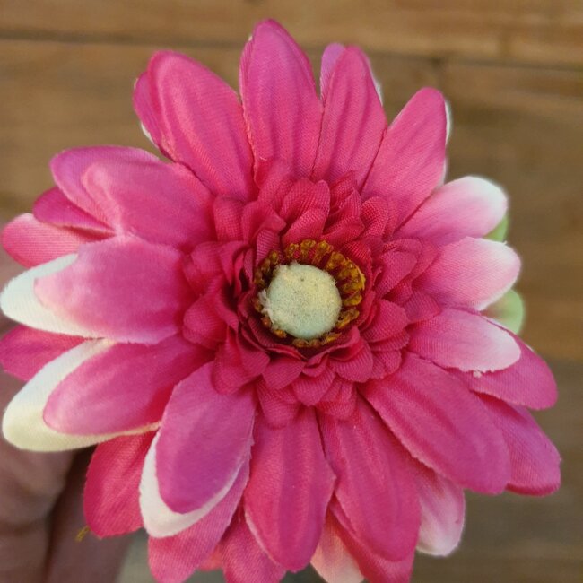 Single Mini Gerbera 47cm dia 7cm - fuchsia