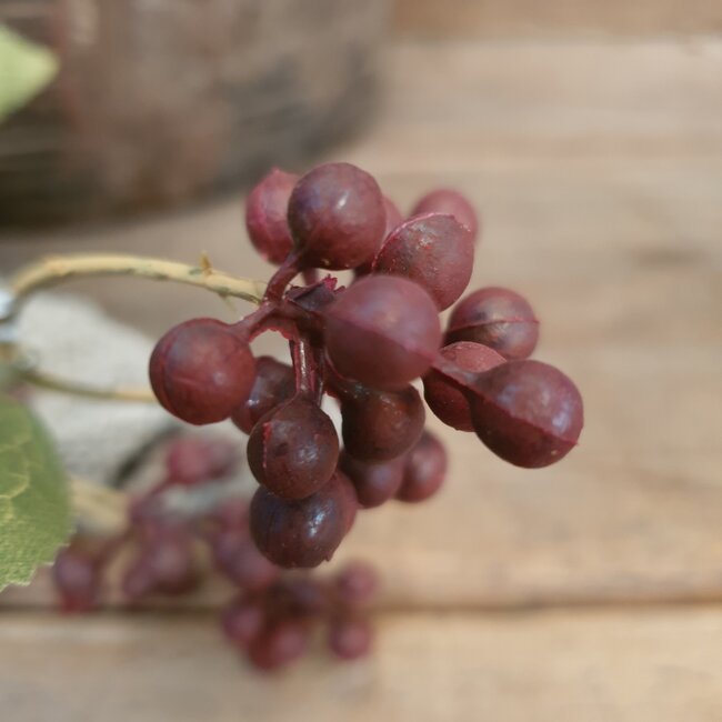 BERRY SPRAY, 75 CM, BURGUNDY, 16/96 - kunst