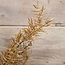 Brynxz # Juniperus Brown - 71 cm - kunst