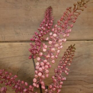 PHYTOLACCA PINK 93CM - kunst