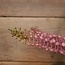 PHYTOLACCA PINK 93CM - kunst