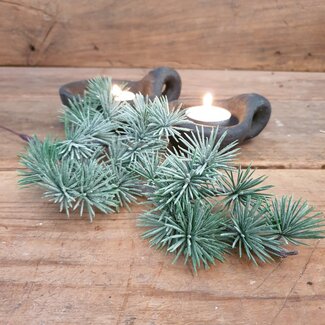 CEDER STEM GREY 36 cm