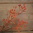 # BESSENTAK ORANJE 90 cm - kunst