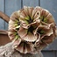 ## SCABIOSA MULTIPLE FRUIT, 56 CM, CREAM