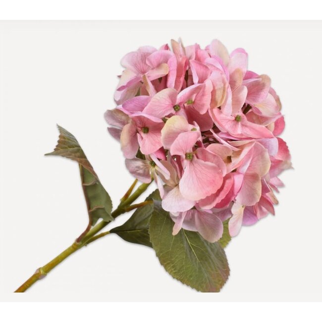 HORTENSIA STEEL ROZE 65 cm - kunst