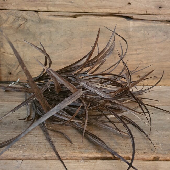 GRASS BUSH, 50 CM, LIGHT-BROWN, 12/72 - kunst
