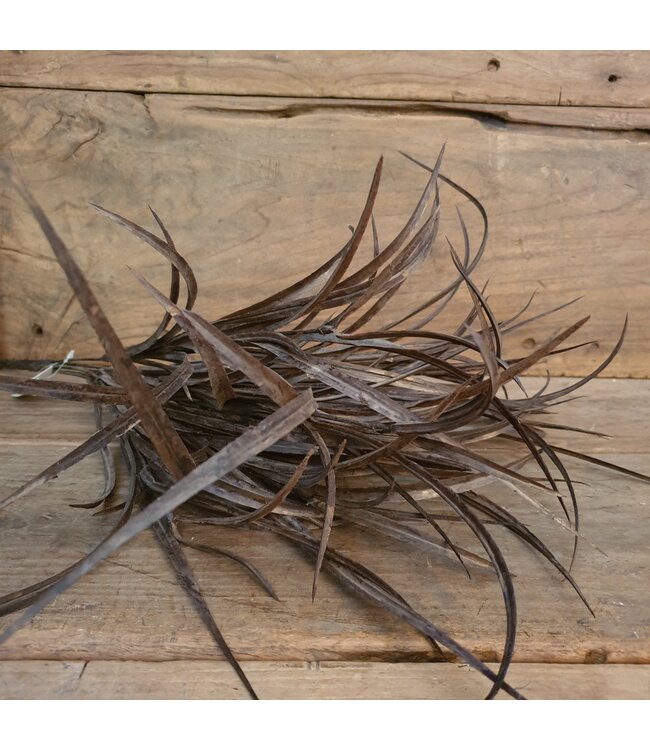 GRASS BUSH, 50 CM, LIGHT-BROWN, 12/72 - kunst