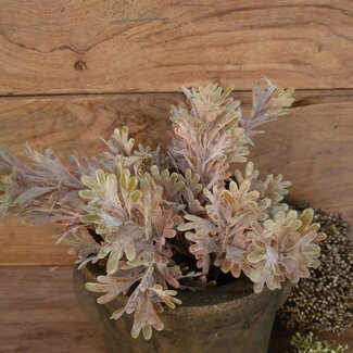 Brynxz # SENECIO BUSH BRONZE 30 cm - kunst