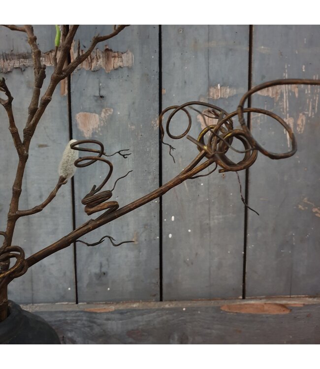 Big Willow Branch 102cm - kunst