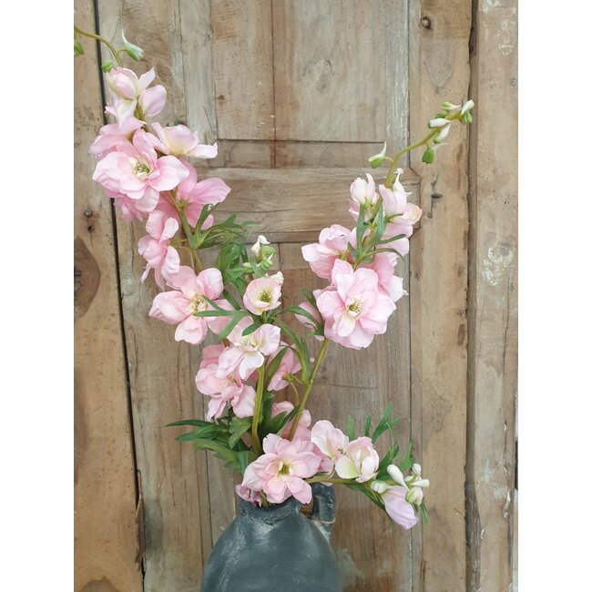 Countryfield ## Delphinium Jesika roze-L8B8H94CM