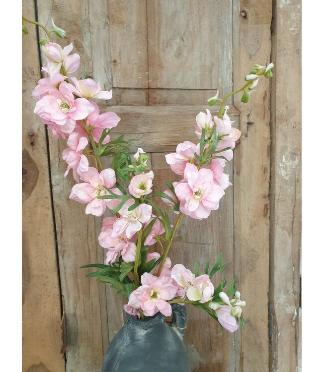 Countryfield Delphinium Jesika roze-L8B8H94CM