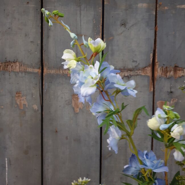 Delphinium Jesik licht blauw 8 x 8 x 94 cm