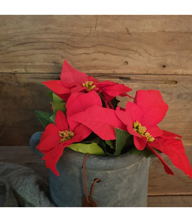 Kerstster - rood - Poinsettia in pot polyester dia16.00-H27.00cm kerstrood