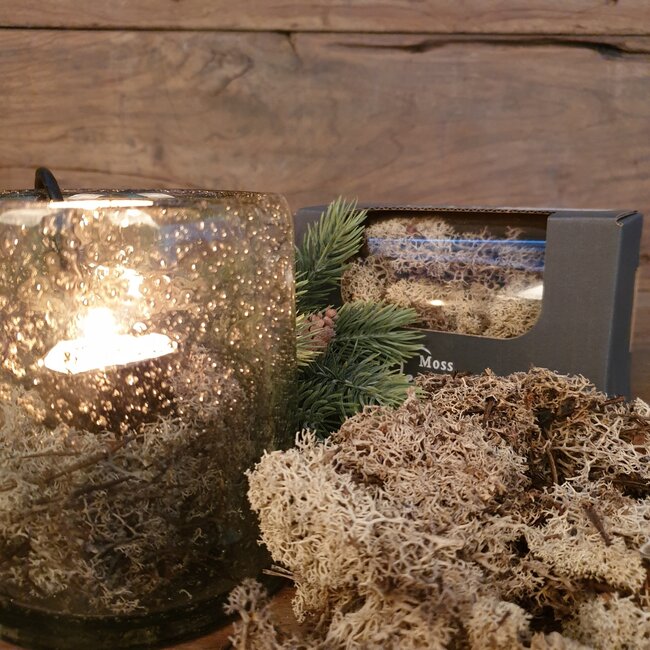 # Q561 - Doosje met 50 gr rendiermos