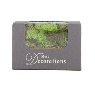 ~Reindeermoss 50gr in box - Springgreen - rendiermos