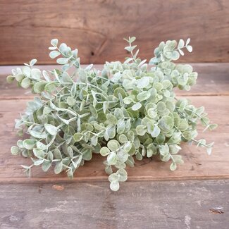 Brynxz # Eucalyptus "Fine Grey" 38 cm