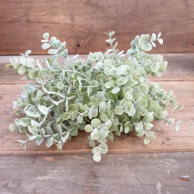 Brynxz Eucalyptus fine grey - 38 cm