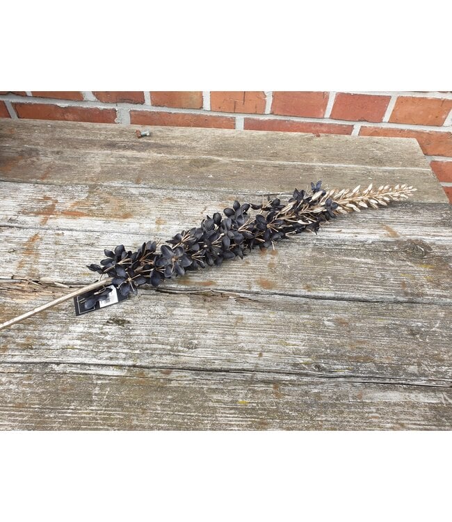 Countryfield Eremurus zwart-L8B8H109CM
