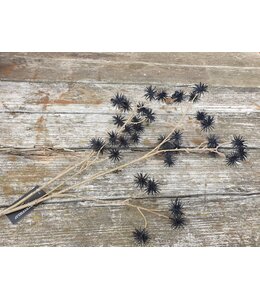 Countryfield ## Xanthium M zwart-L16B10H90CM