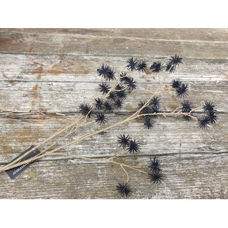 Countryfield ## Xanthium M zwart-L16B10H90CM