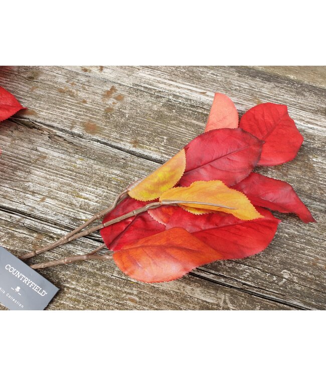 Countryfield Morus rood-L3B26H69CM