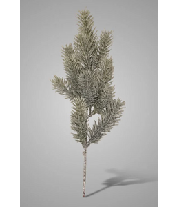 Dennentak 50 cm