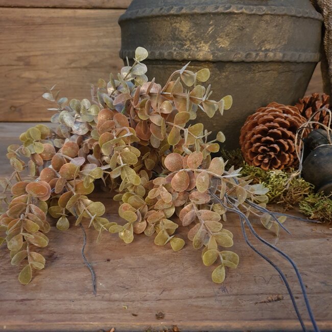 Brynxz EUCALYPTUS BUSH BRONZE 55 cm