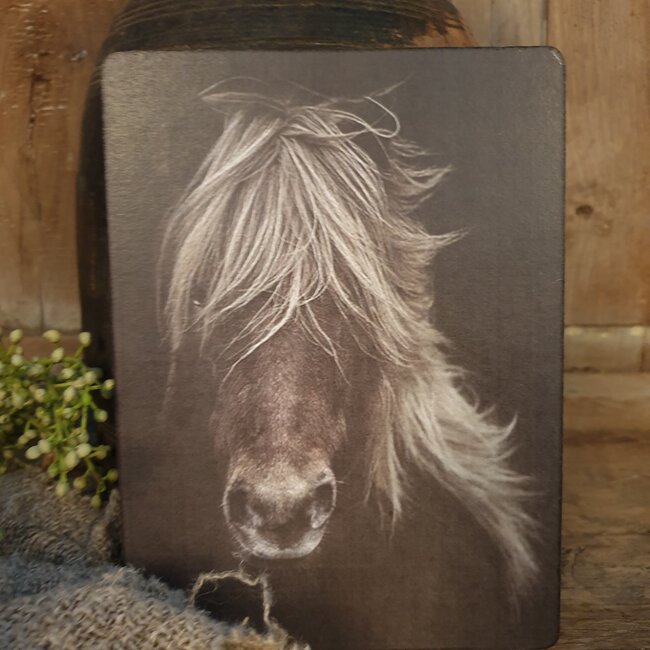 754 - Afbeelding  op hardboard - paard manen - 14 x 19 cm