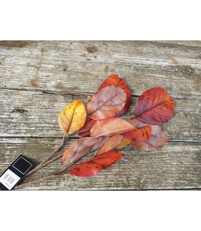 Countryfield Morus bruin-L3B26H69CM