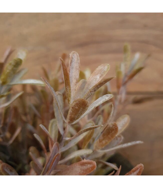 MYRICA BUSH BRONZE EXTRA 30 cm - kunst