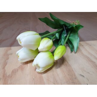 Witte tulpen boeket, 5 stelen