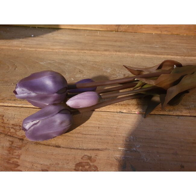 Countryfield 808047 - Bos paarse tulpen - 5 stelen