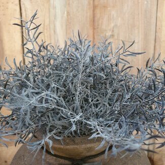 ### Springeri Bush 38 cm - kunst