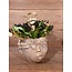 Planter Face Concrete Gold 26x23x21cm