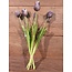 87017 29 tulp classic soft purple - bos 7 stelen - 45 cm