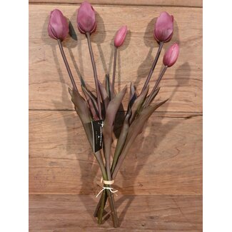 Lila tulpen boeket, 5 stelen 45 cm